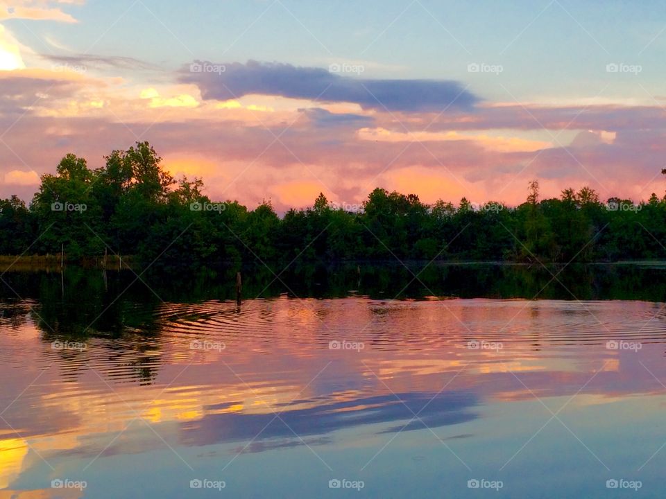 Evening on the pond 