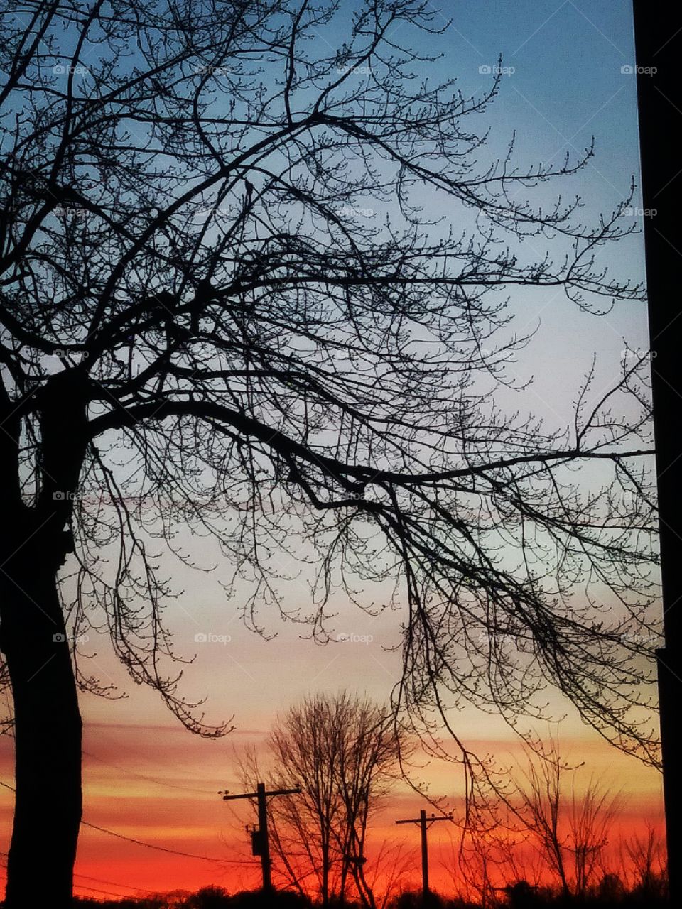 Sunset on a wintry day