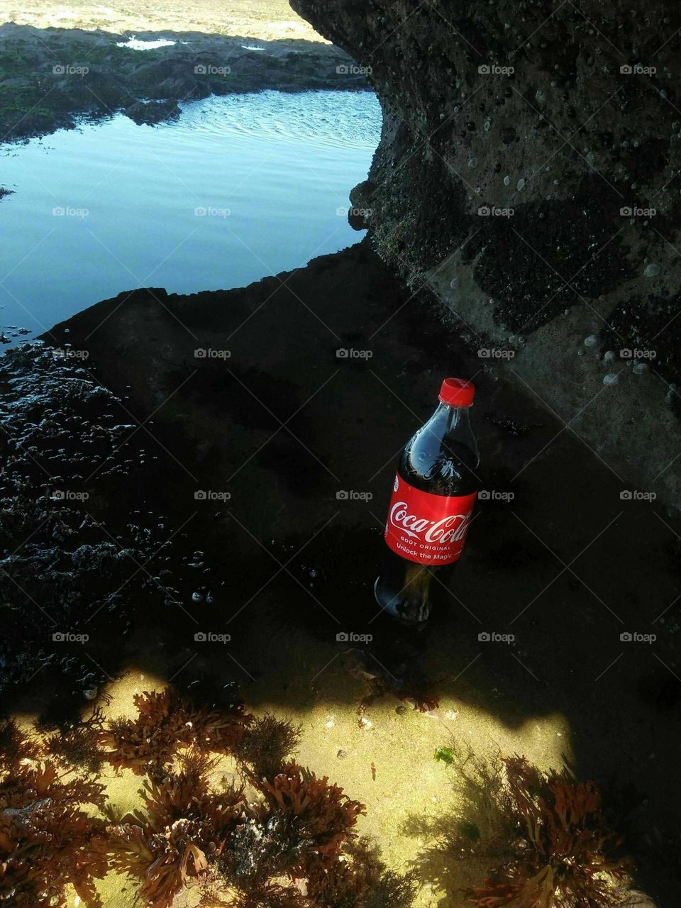 delicious bottle of fresh coca cola.