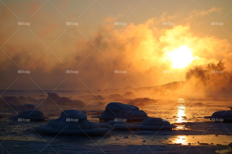 Swans in last open water in extremely cold and misty morning with sea smoke from the Baltic Sea at sunrise time in Helsinki, Finland.