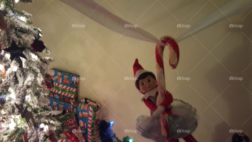 elf on the shelf