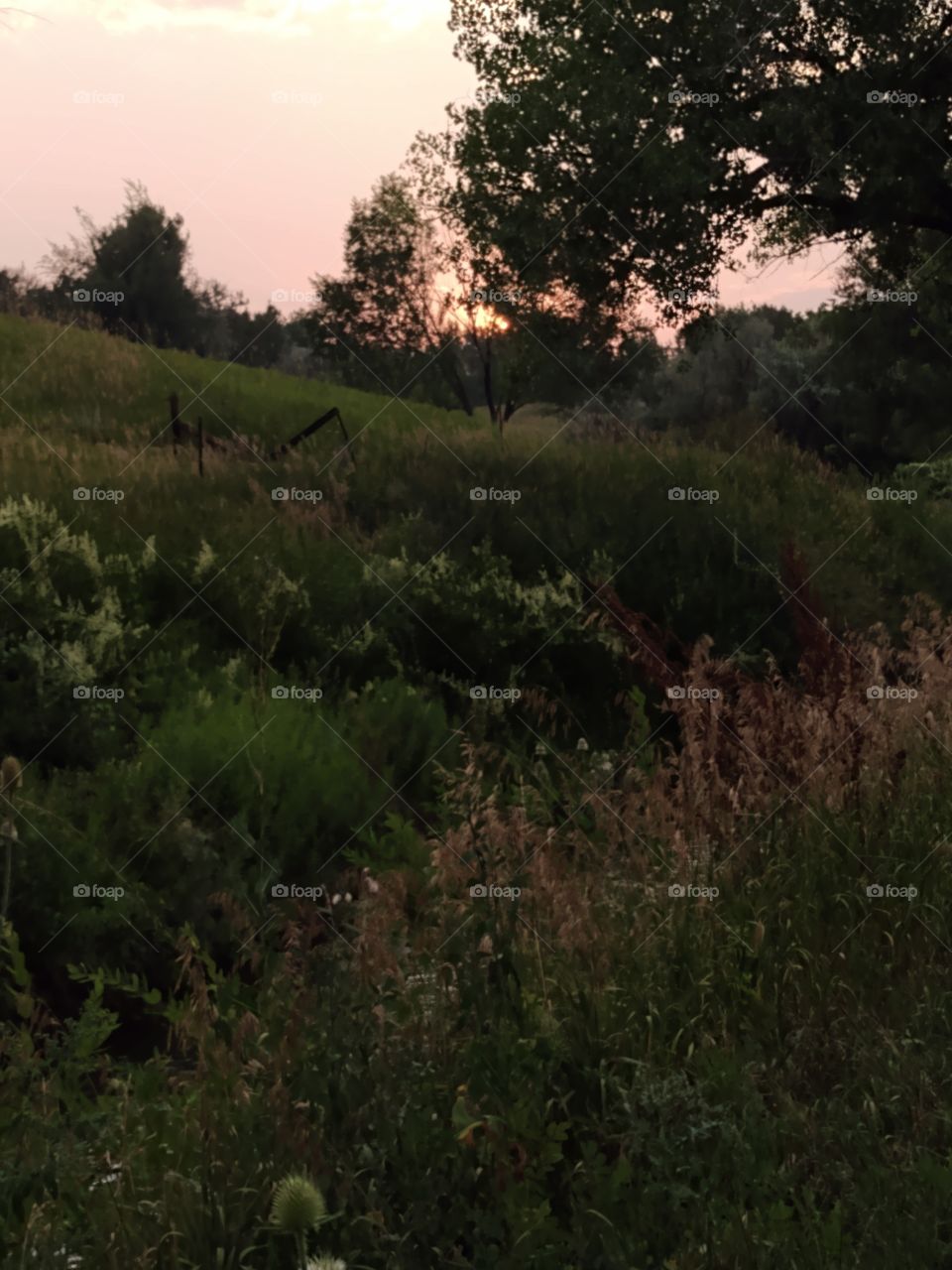 Beautiful serene sunset on the canal in Arvada, Colorado. Check out the colorful sky.