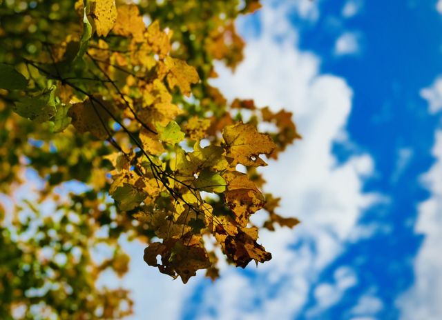 Beautiful nature 