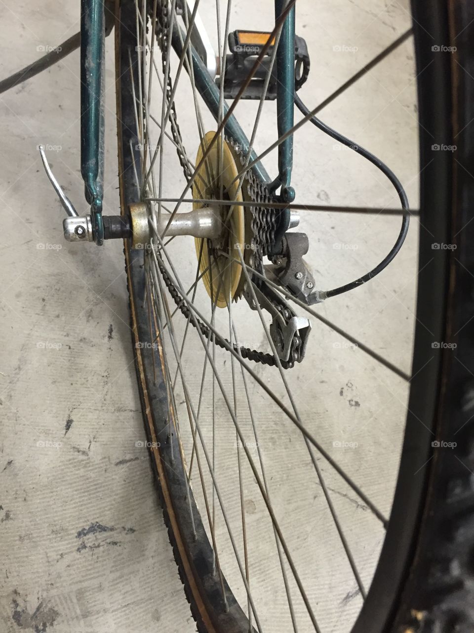 Bike spokes. Close up of a bike wheel.