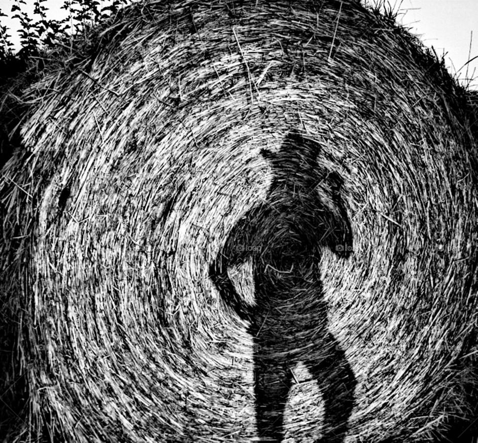 Short, Dark and Beautiful