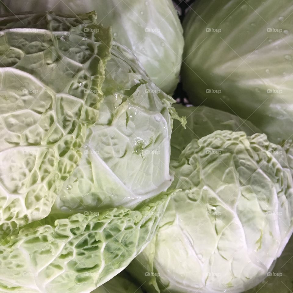 Cabbage 
