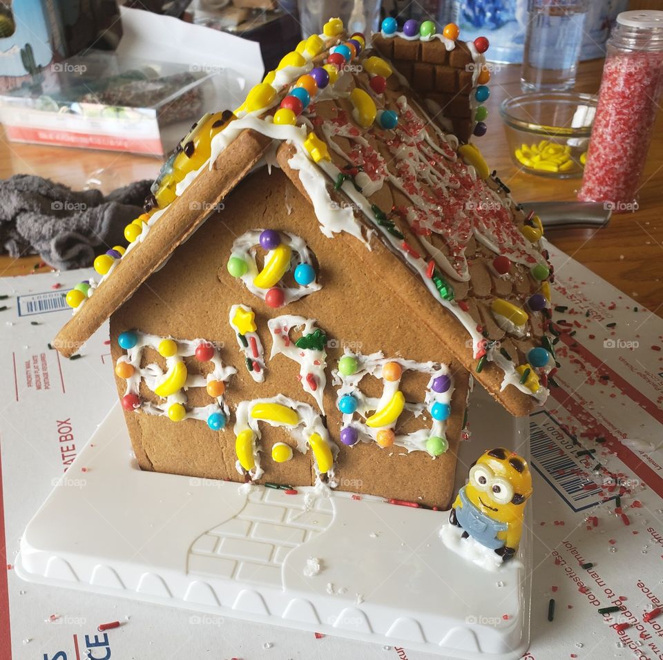 welcome home minions