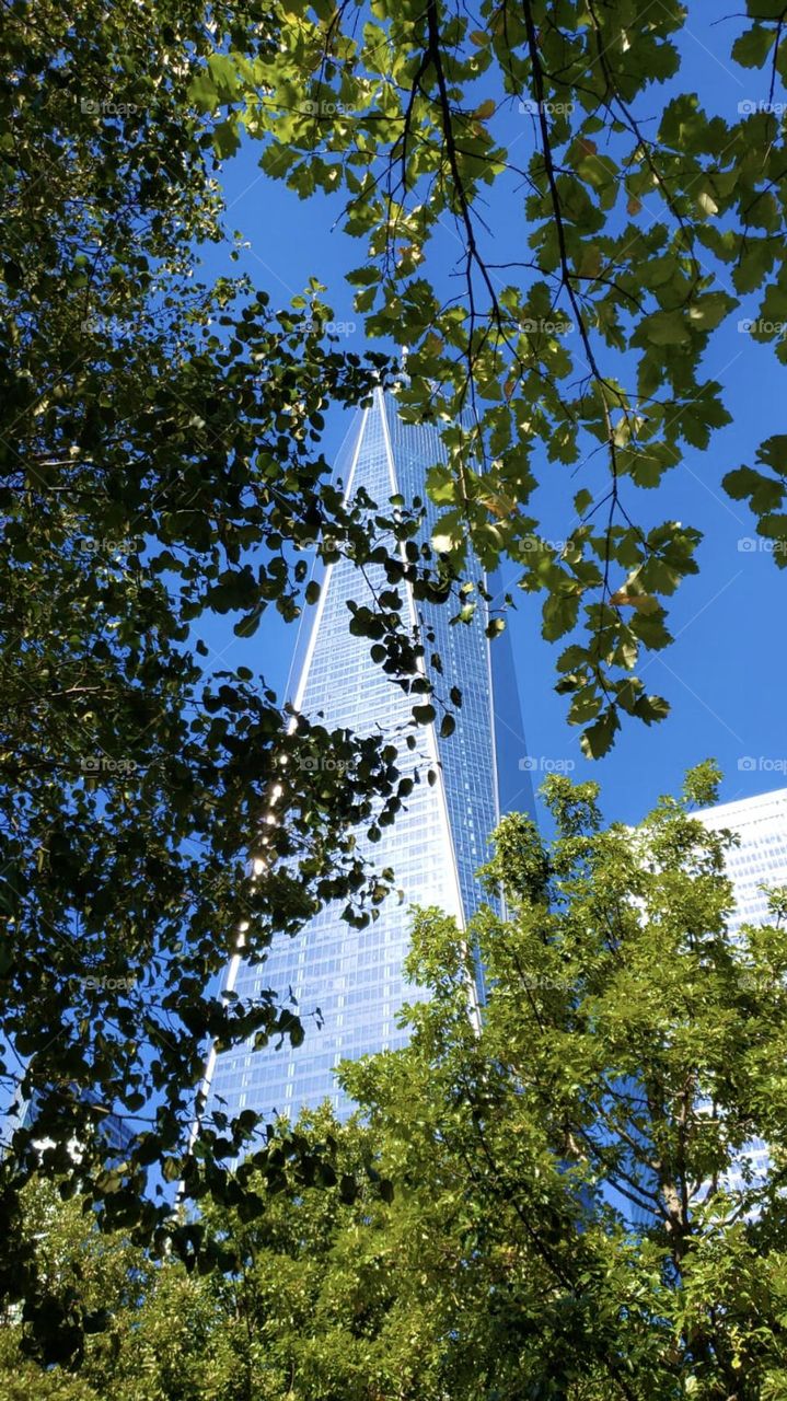 One World Trade Center 