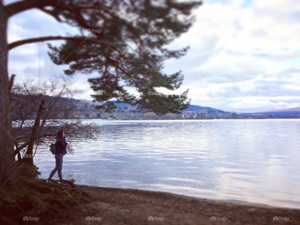 Water, Tree, Landscape, Lake, Travel