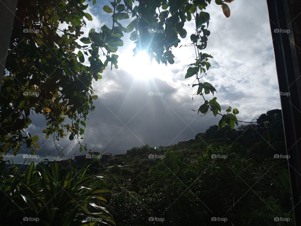 Como é linda a natureza!