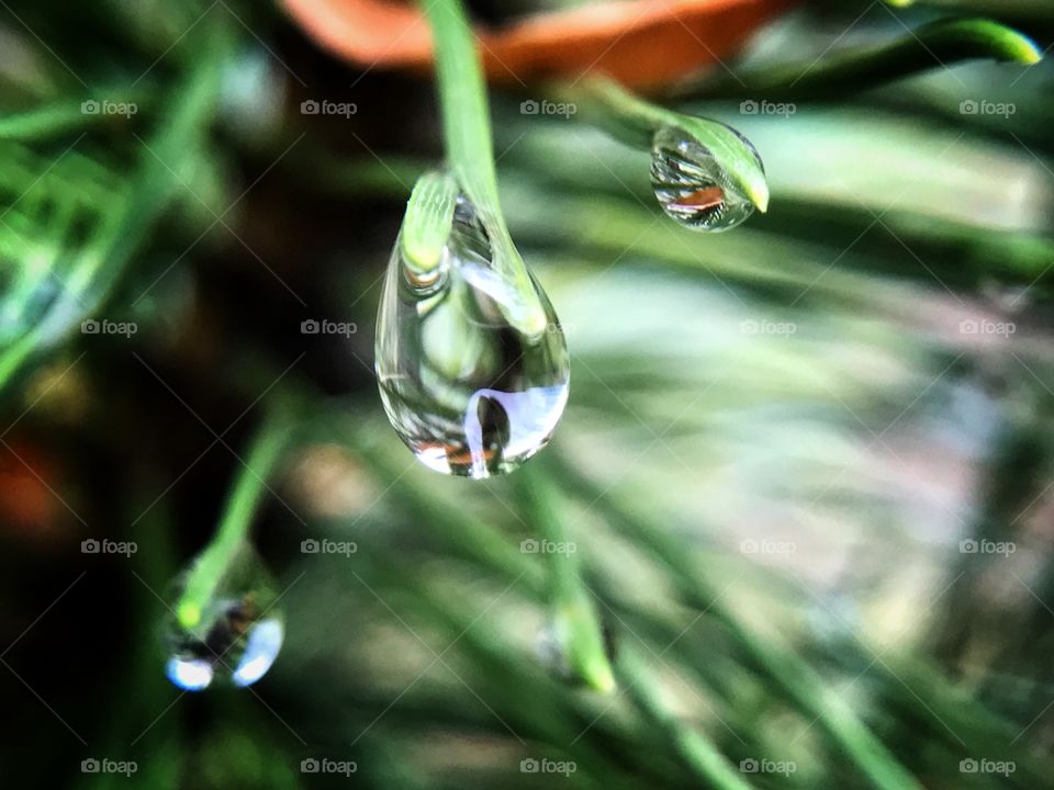 Never be bored by watching rain drops
