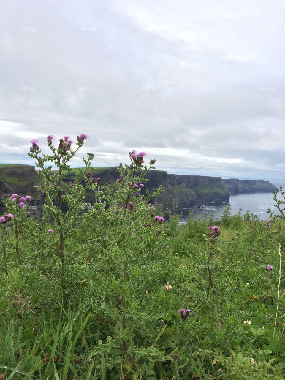 Cliffs of Moher