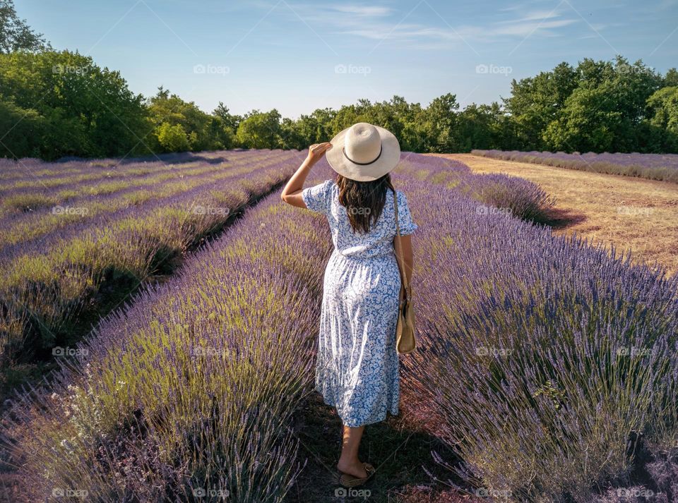 Rear view of young woman wearing dress and sunhat standing in a lavender field