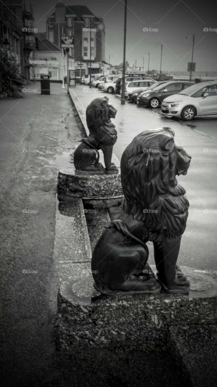 lions at Penzance promenade on a wet day