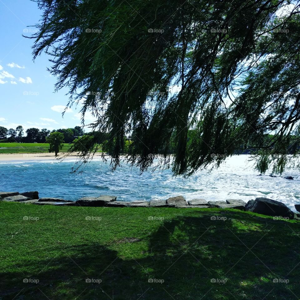 Water, Tree, Landscape, Travel, Nature