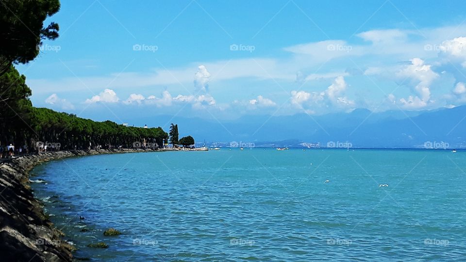 Collecting Memories dhanssen