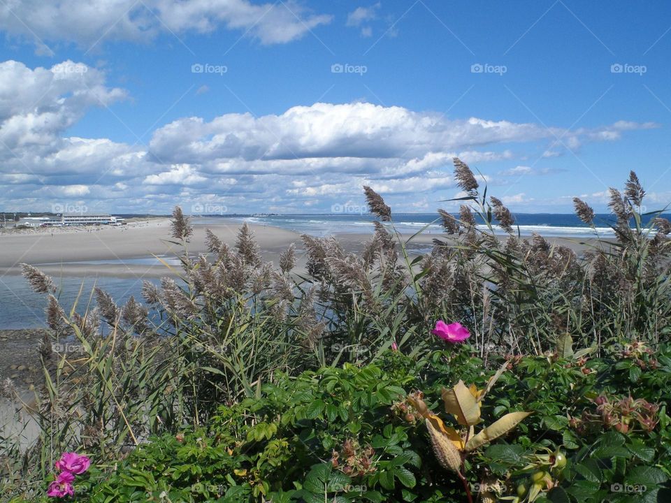 Coastal Maine. Beautiful Coastal Maine