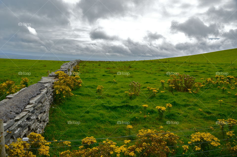Irish countryside with flowers and cloudy skies