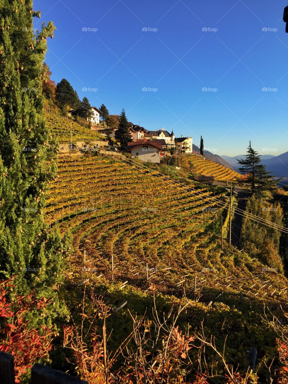 Autumn in South Tyrol