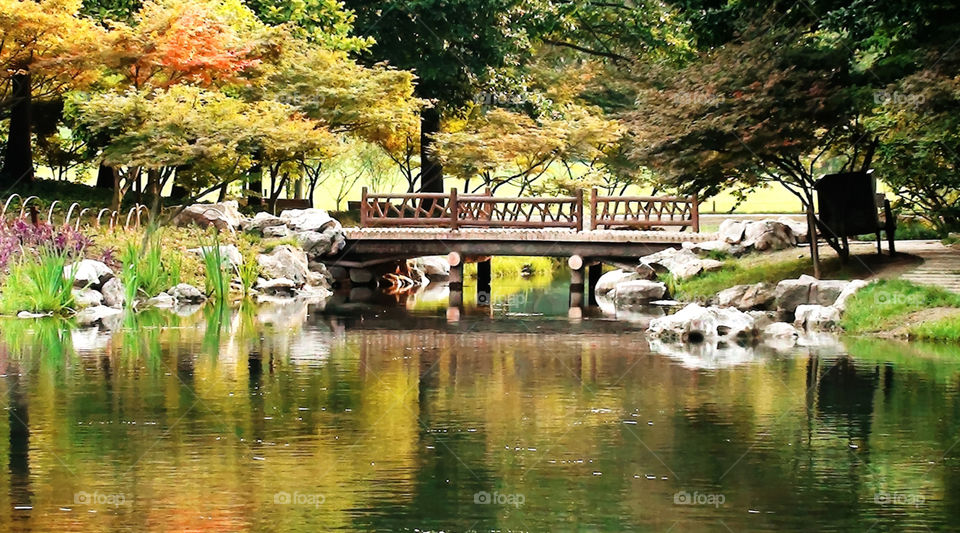 Fall in Hangzhou. A beautiful foliage and bridge reflected on a pond in Hangzhou, China.