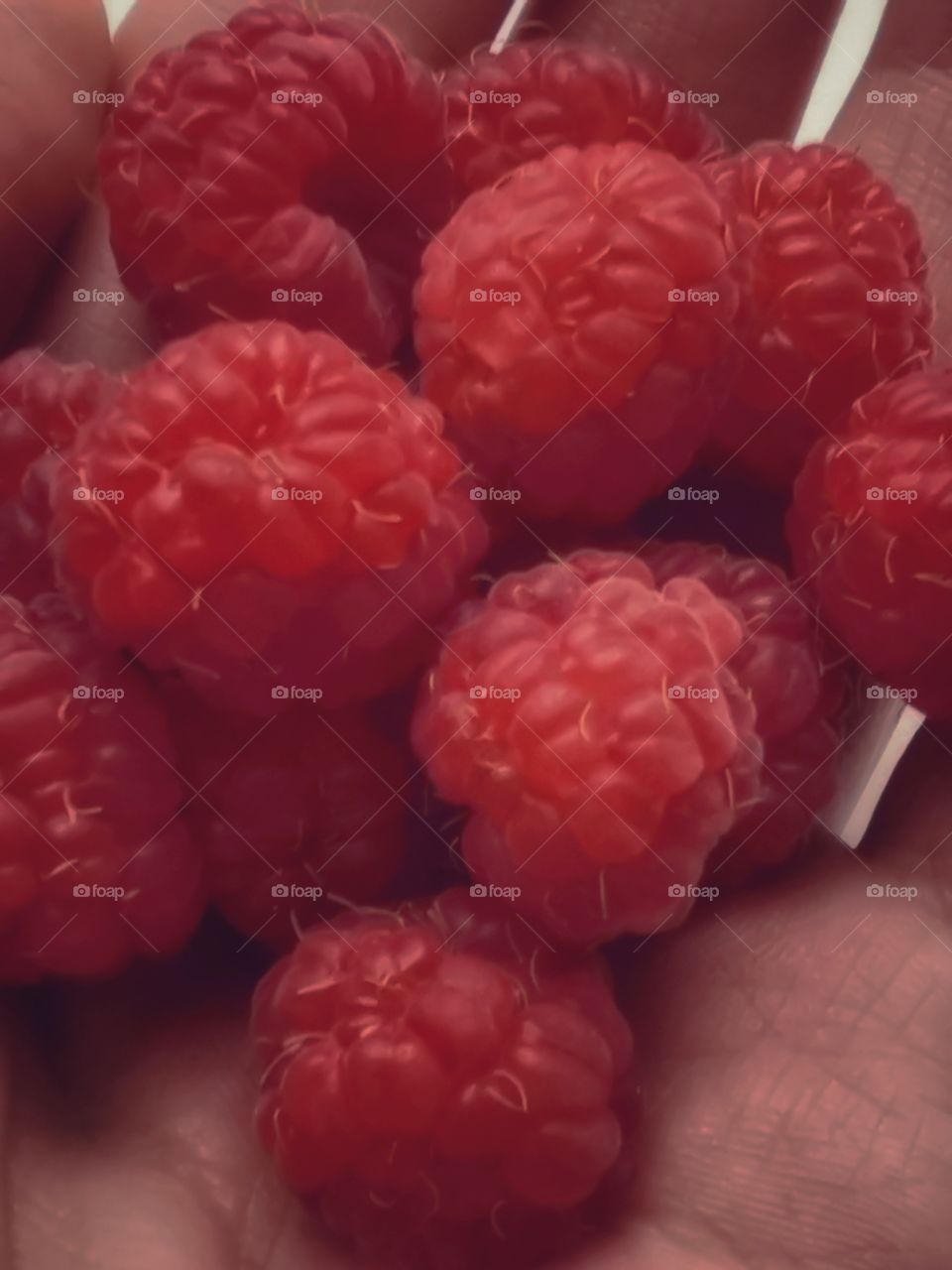 Fromboise berry hand happy view bio fresh yummy healthy Red raspberry nature eco vegan juicy fruits