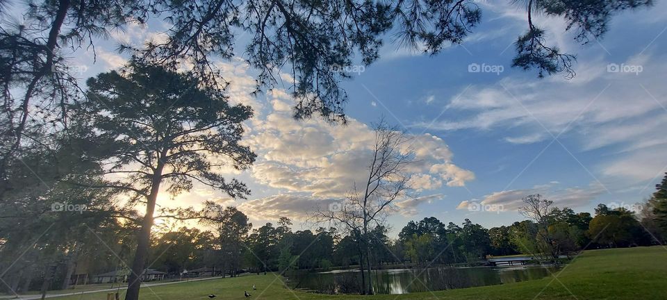 Park,Man Made Lake /Pond