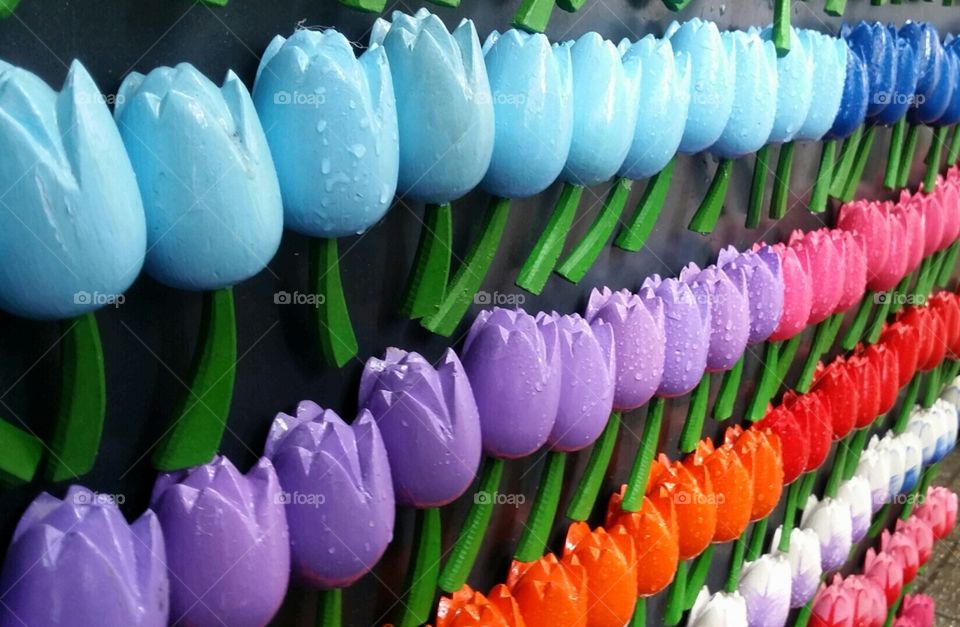 Tulip magnet decoration Amsterdam