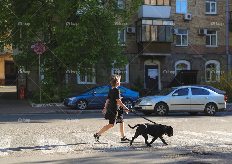 walking the dog down the street, the owner walks the weakling, teaches her, cleans up after her, educates, plays with his pet. people and dogs are best friends