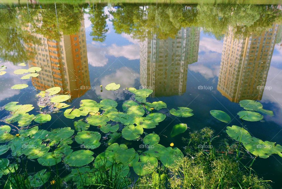 reflection of buildings in the lake