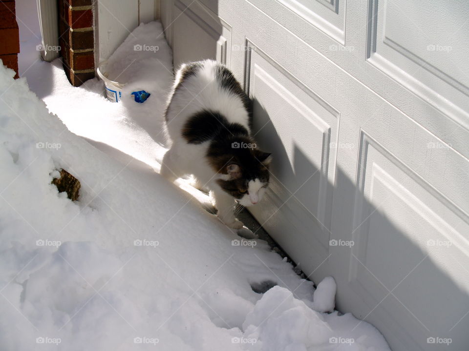 Snow, Winter, Indoors, People, Window