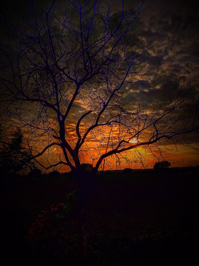 sunset