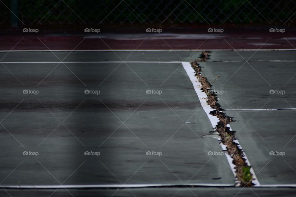 Tennis court with large crack in cement, plants growing through court