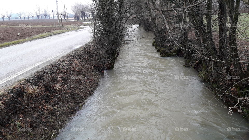 winter grey day in the country