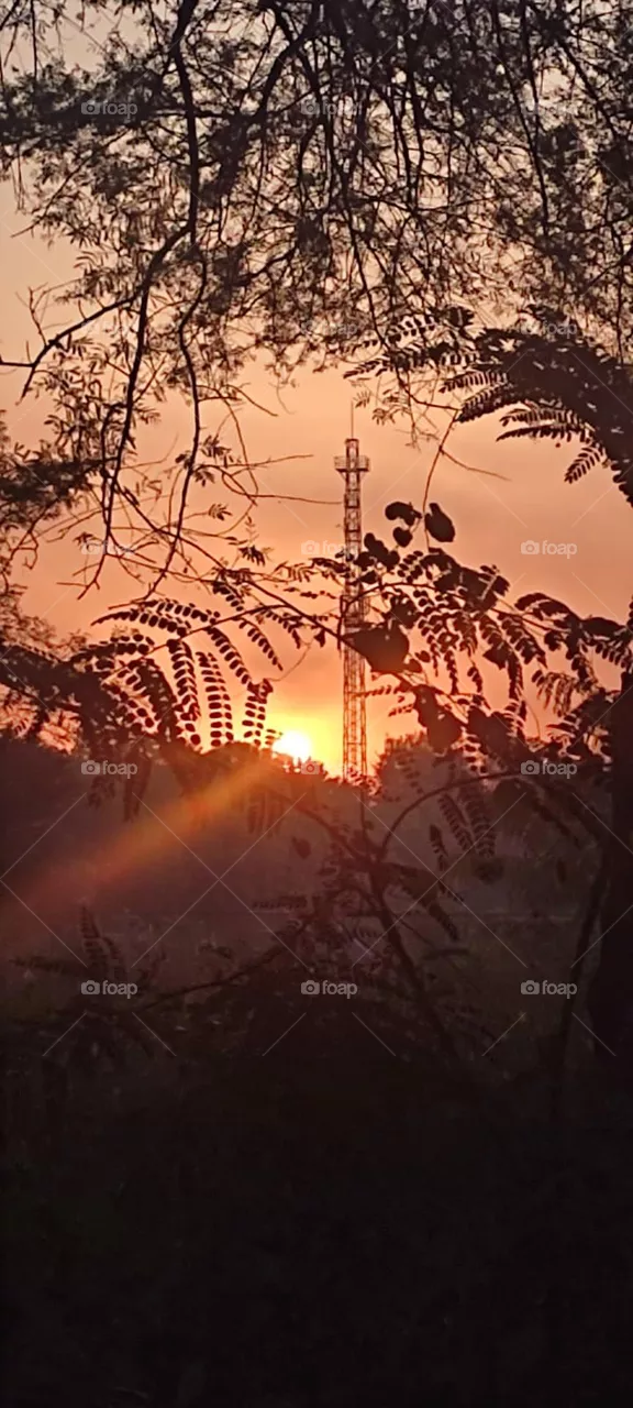 Evening Sun