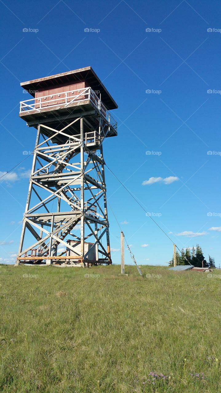 Forest Service Tower 