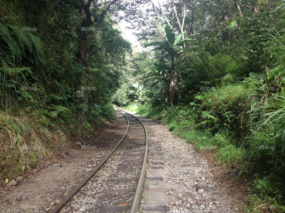 Mysterious train tracks 