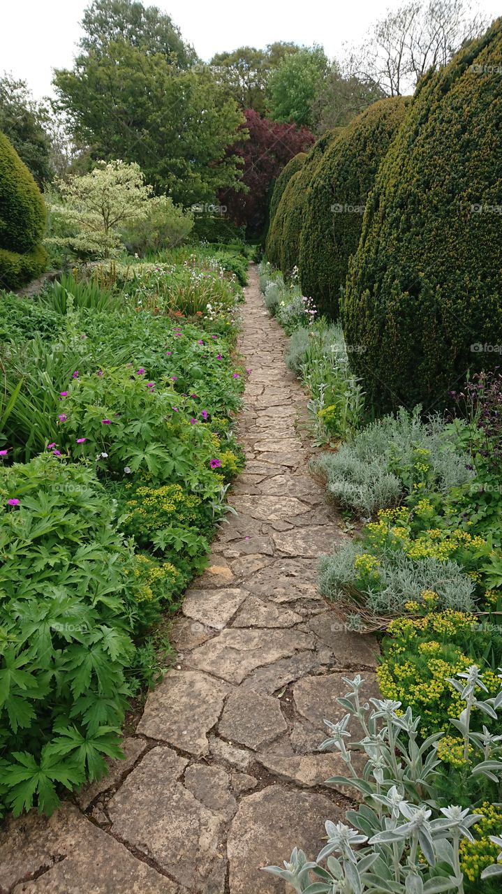 Garden Path in to English country garden