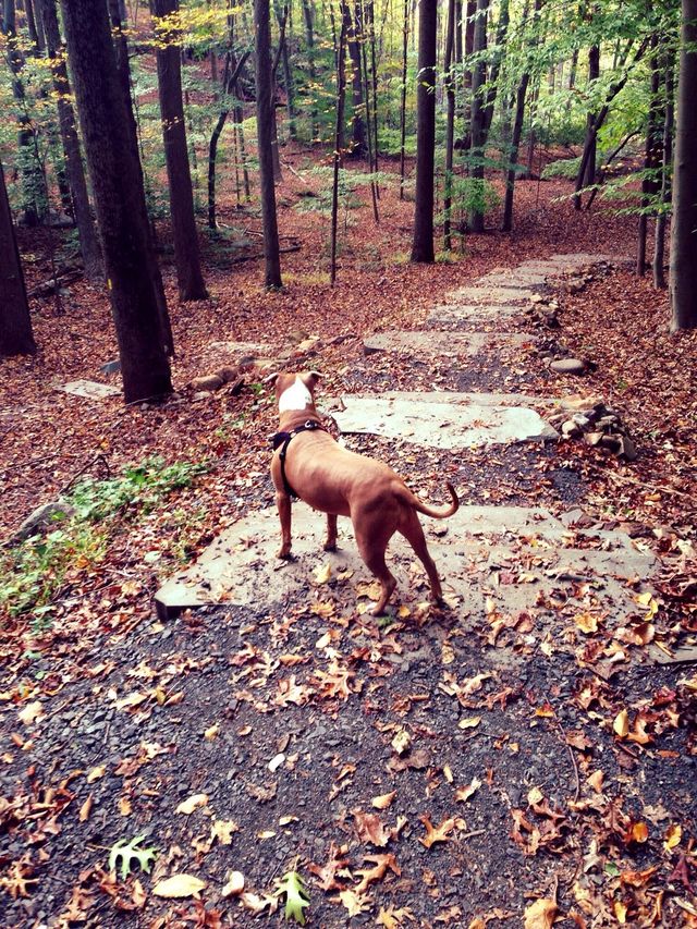 On a hike 