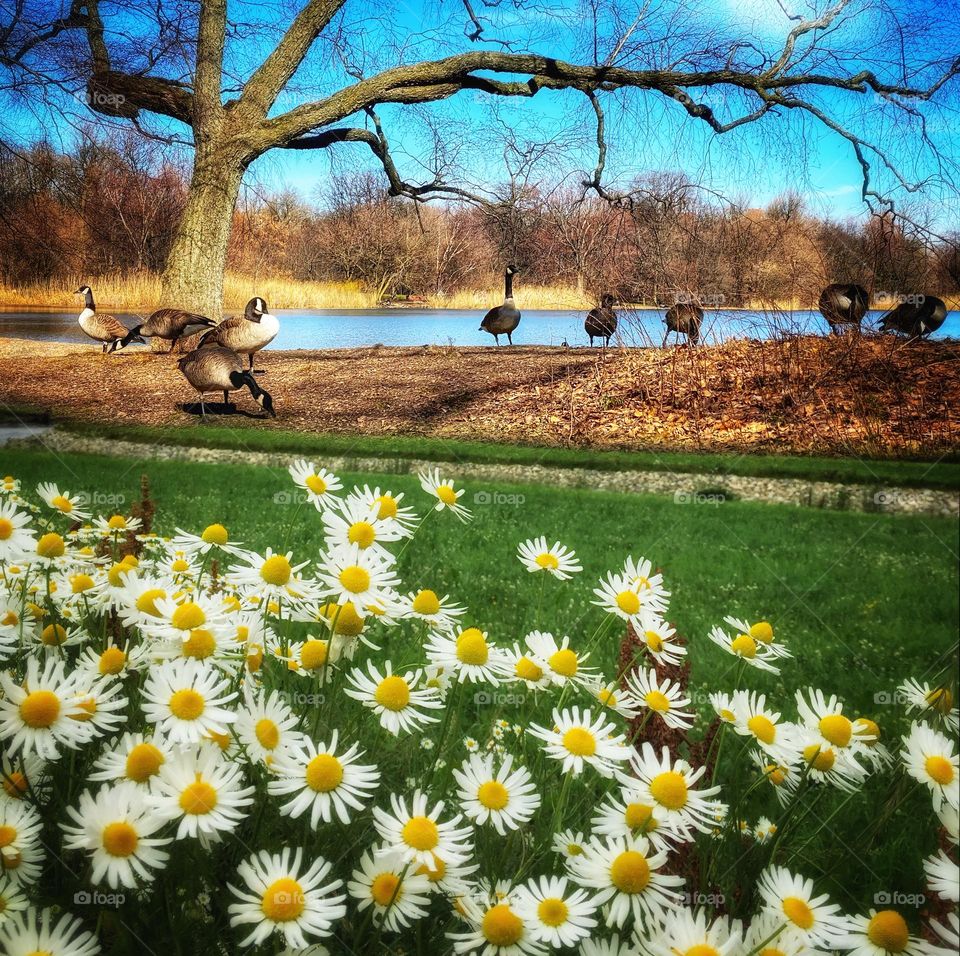 Early spring at lakeside