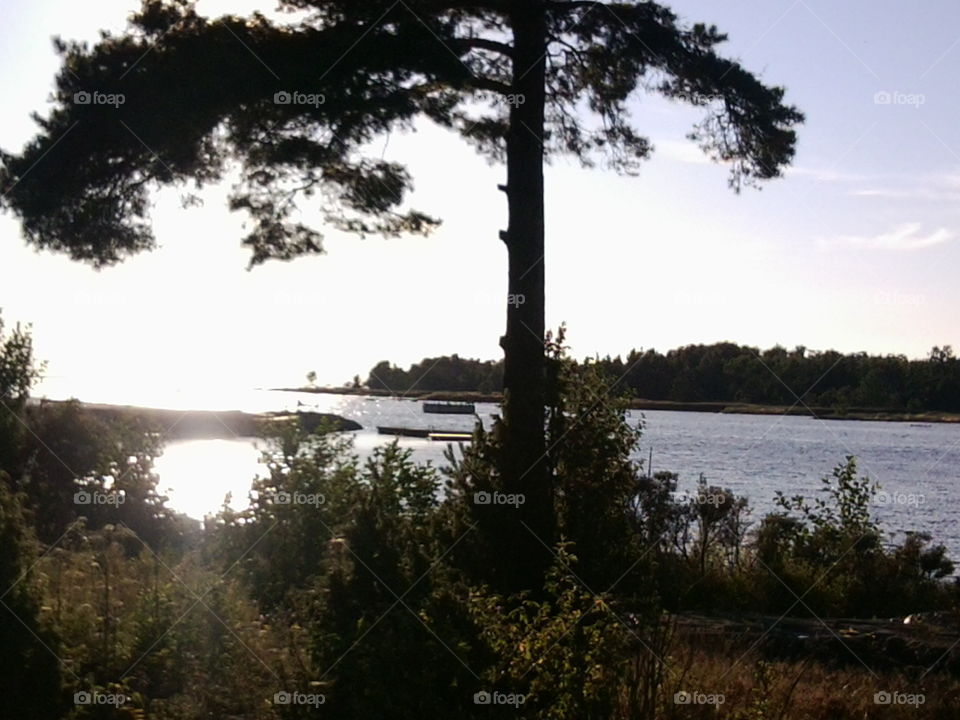 view from Fågelsundet