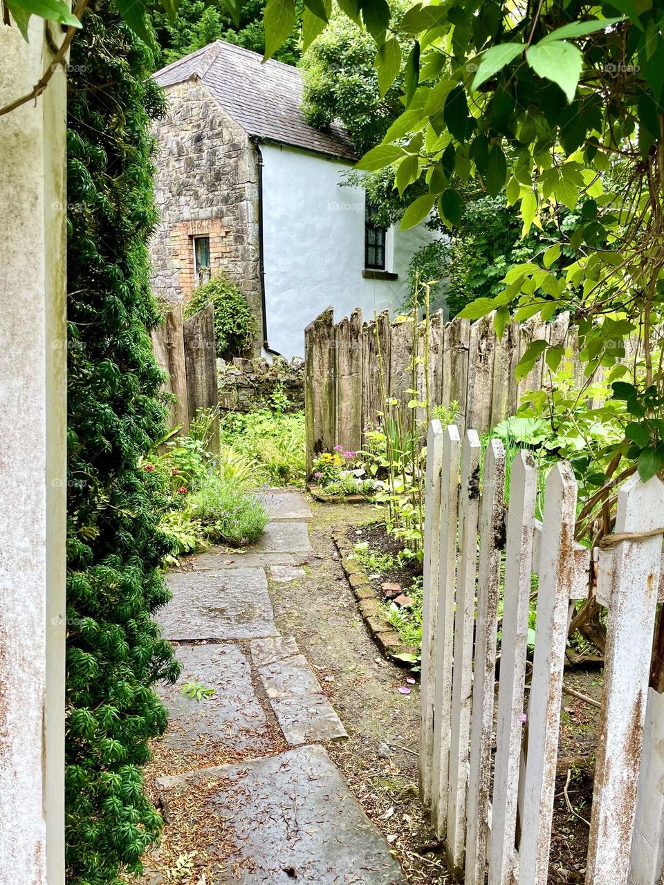 An open fence gate invites entry into a lush, green garden at Bunratty Folk Park in Ireland.