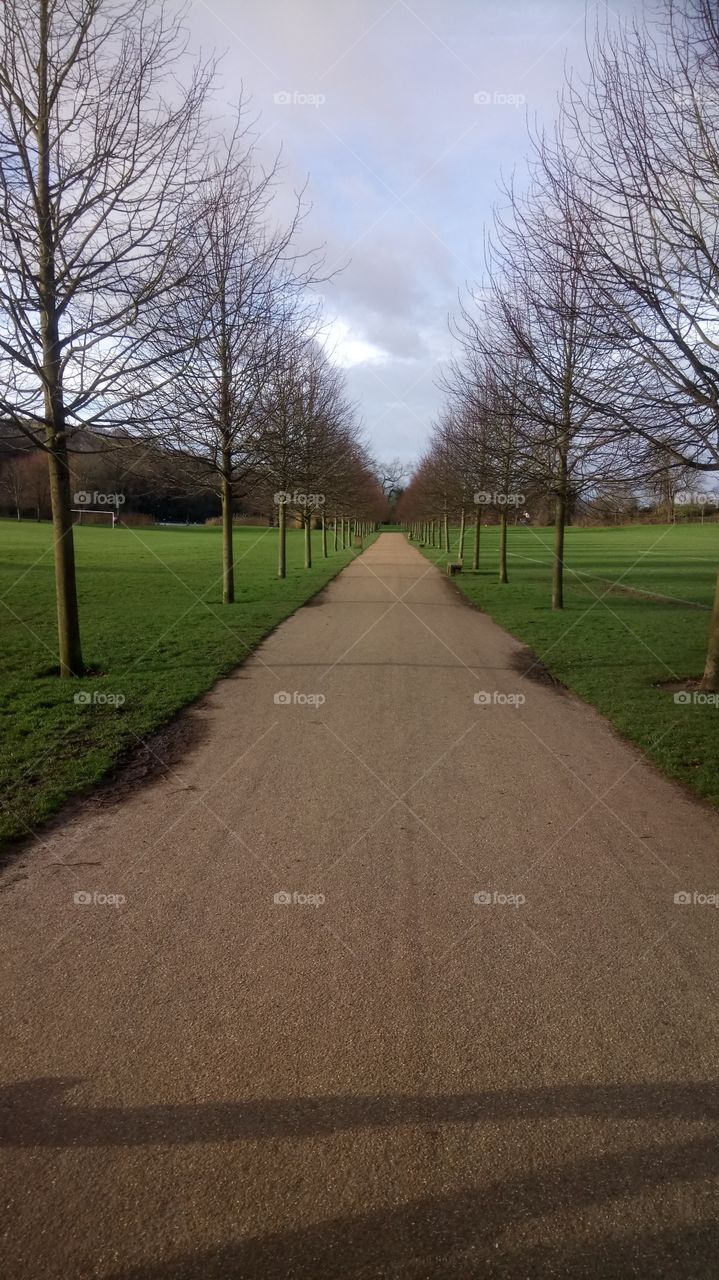 Where does this pathway lead?