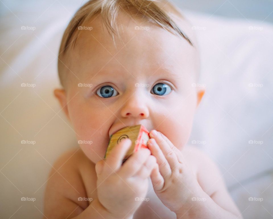 baby child little kid childhood cute happy infant adorable children small young toddler portrait caucasian newborn person healthy fun boy sweet 