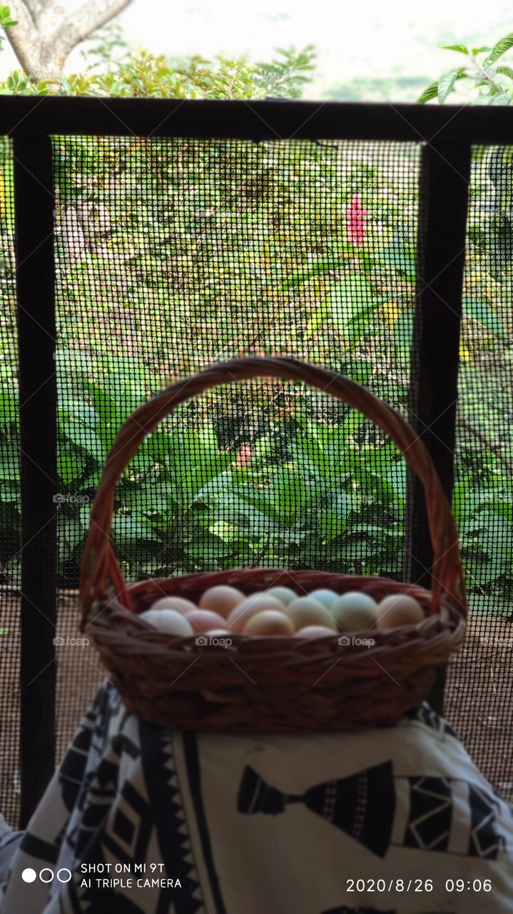 canastilla de huevos