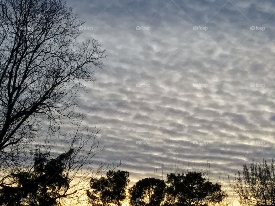 texture in the clouds
