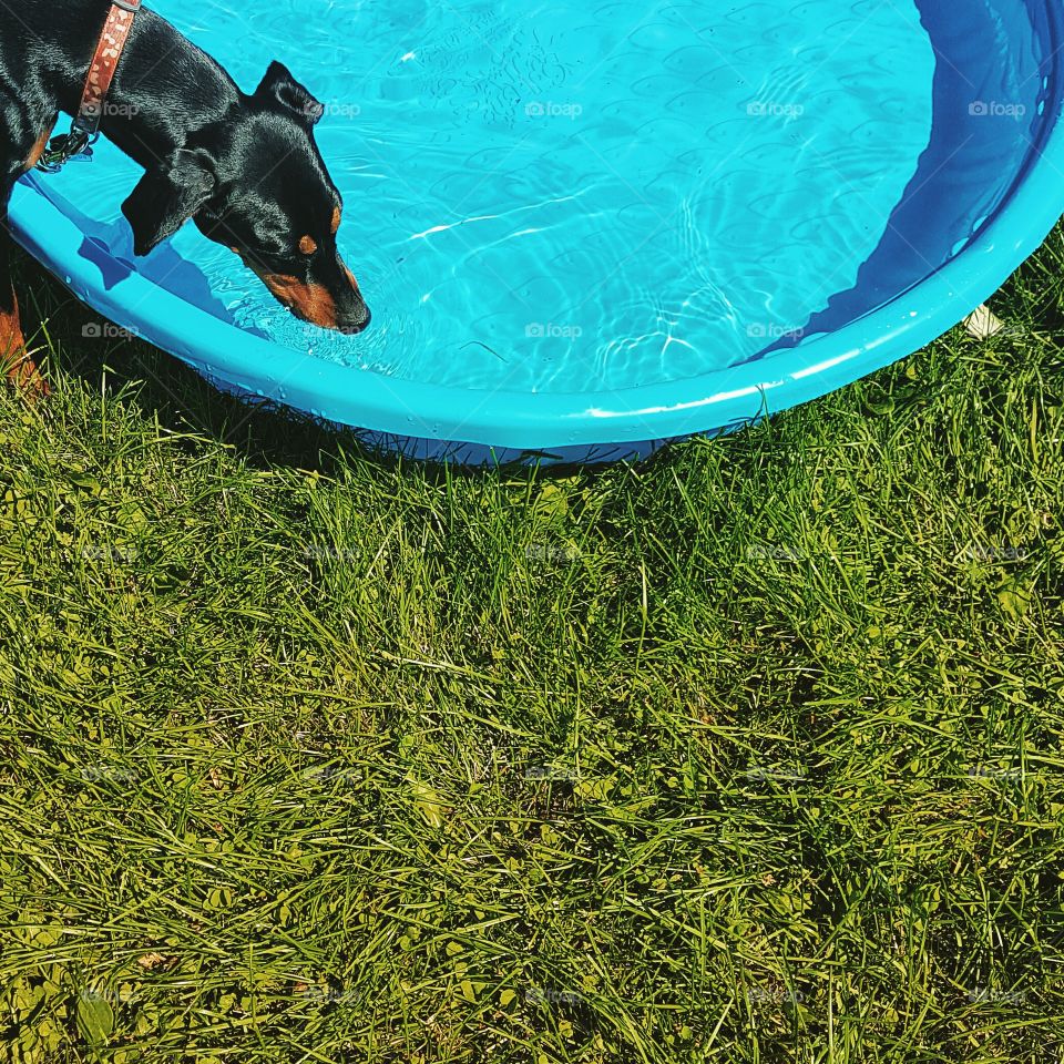 Poolside