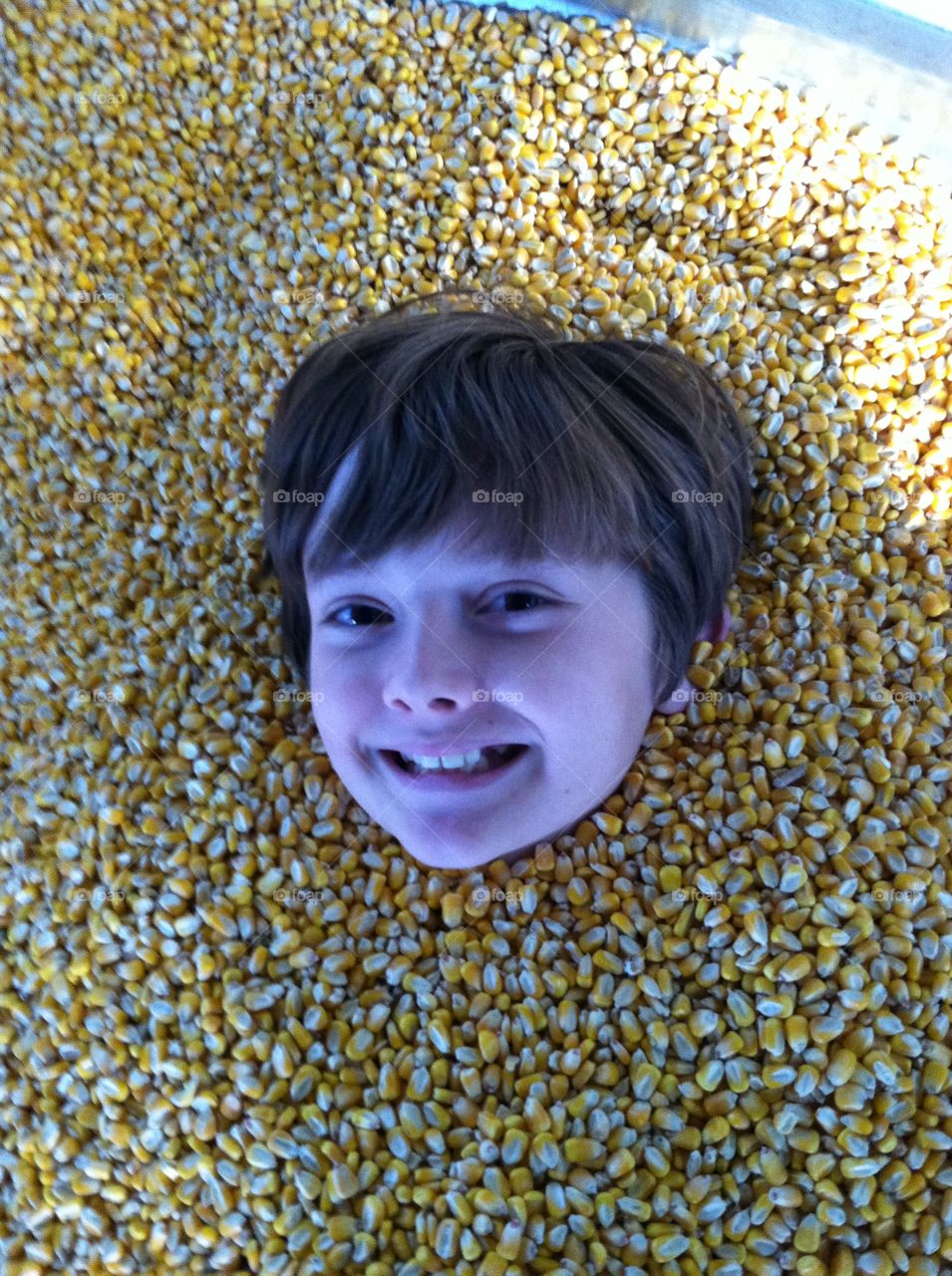 Playing in corn box