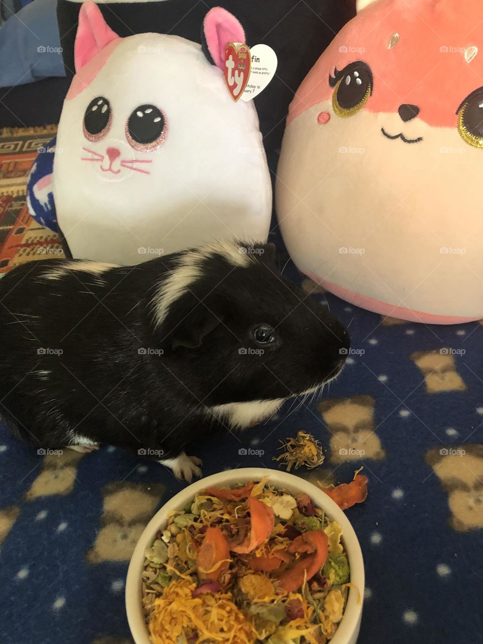 Playtime for Timmy boy 