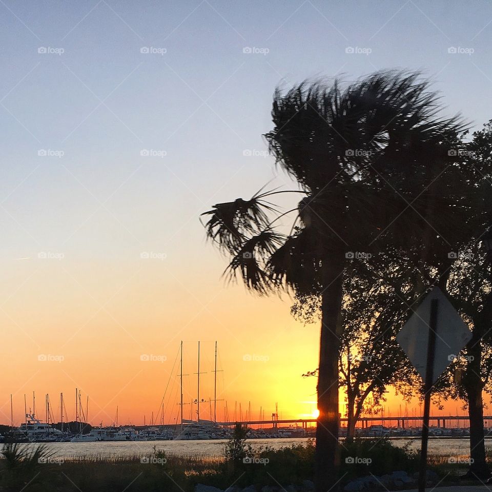 Harbor view Sunset Palm, Charleston SC