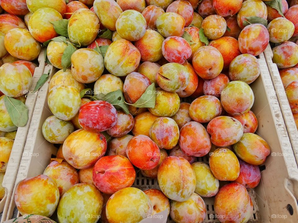 Fresh Pluots. Freshly Harvested Pluots At A Fatmer's Market
